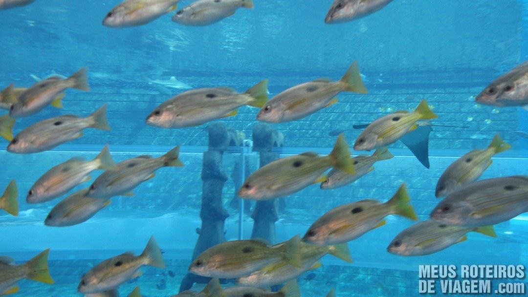 Parque aquático Aquaventure - Atlantis The Palm, Dubai