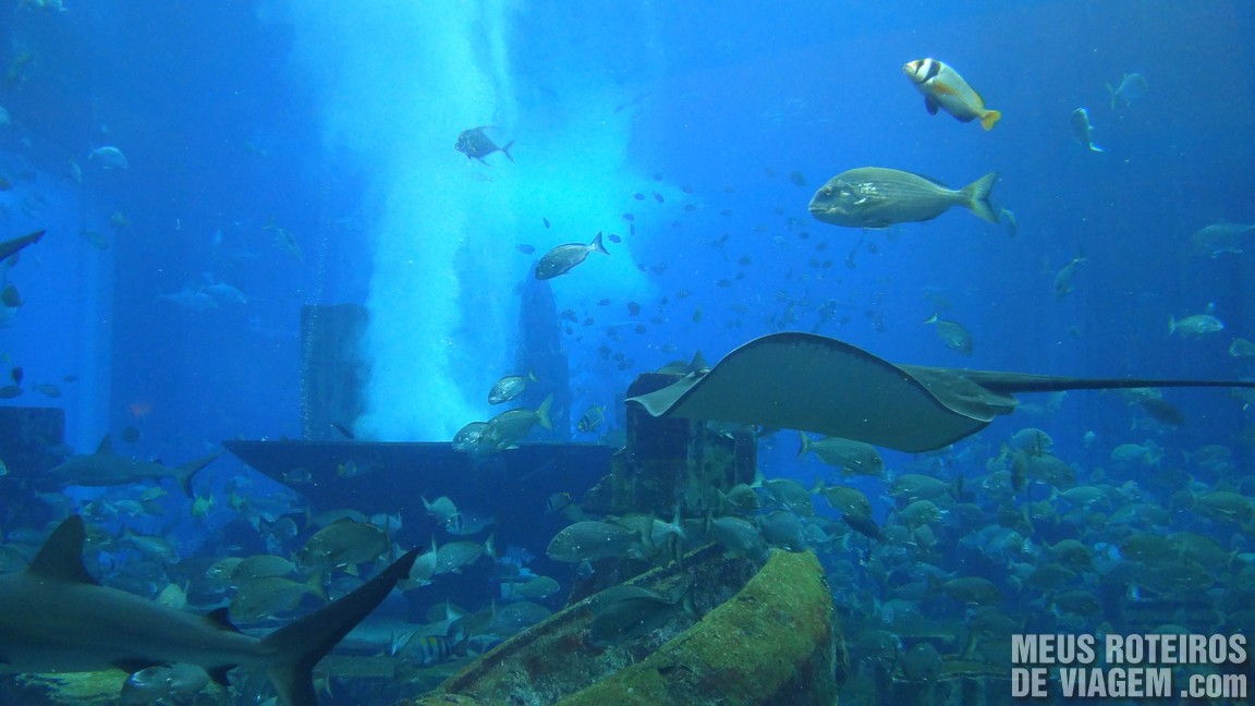Aquário do hotel Atlantis The Palm, Dubai