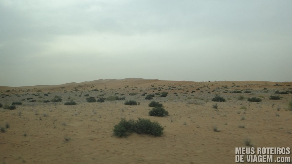 Vegetação do deserto dos Emirados Árabes