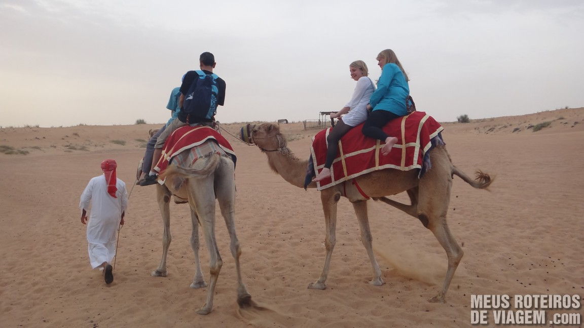Camelo no deserto de Dubai - Emirados Árabes