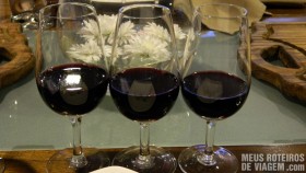 Anuva Wines - Degustação de vinhos em Buenos Aires, Argentina