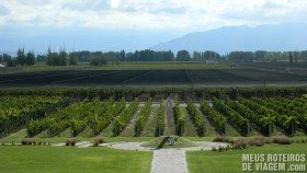 Vinhedos da Bodega Norton - Mendoza, Argentina