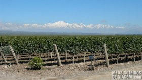 Bodega Pulenta Estate - Mendoza, Argentina