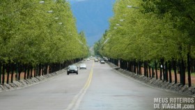 Av. del Libertador - Mendoza, Argentina