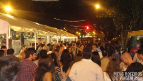 Av. Sarmiento lotada na Mega Degustação 2014 - Mendoza, Argentina