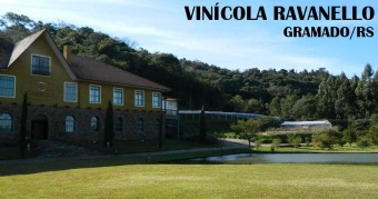 Gramado: Degustação de vinhos na Vinícola Ravanello gramado - vinicola