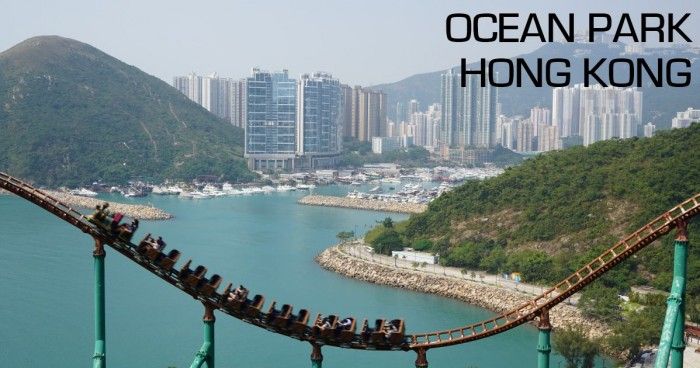 Hong Kong: Montanhas-russas e Pandas no Ocean Park hong kong - ocean park