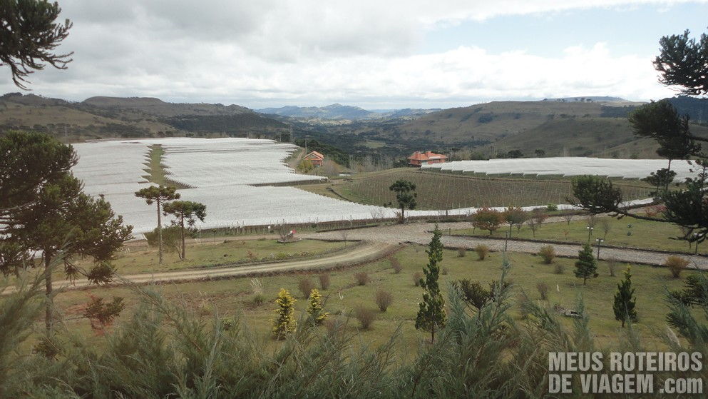 Vinícola Villa Francioni - São Joaquim/SC