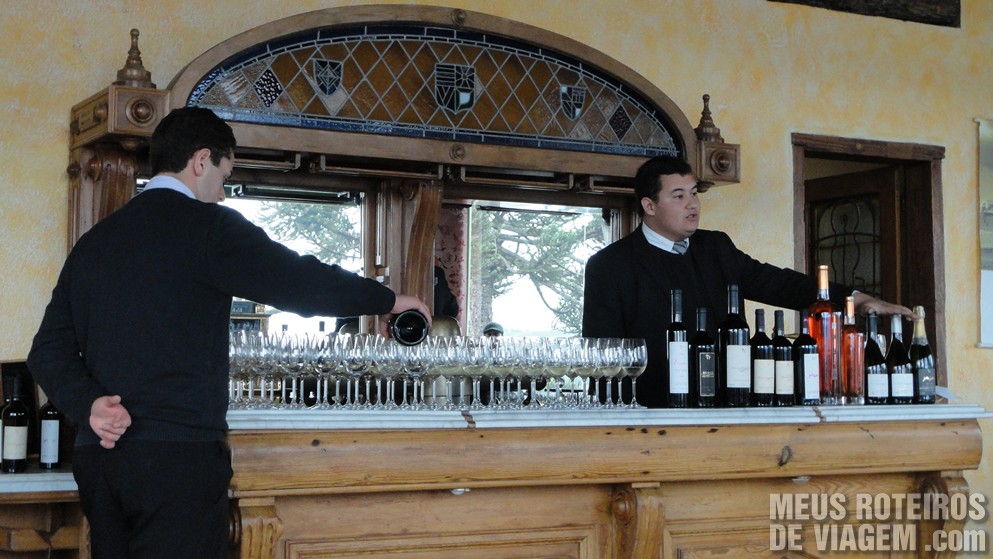 Vinícola Villa Francioni - São Joaquim/SC