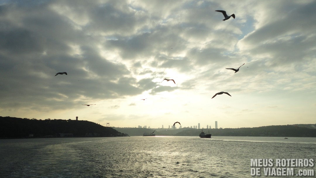 Aves seguindo o barco - Istambul, Turquia