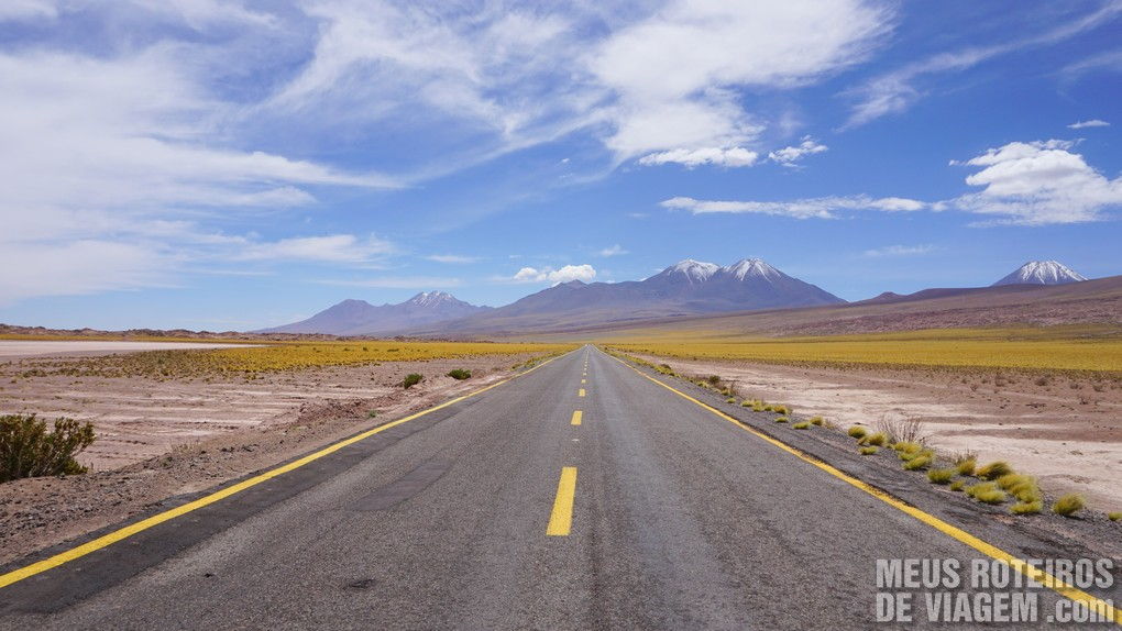Parada na estrada no Tour das Lagoas Altiplânicas - Agência Araya Atacama