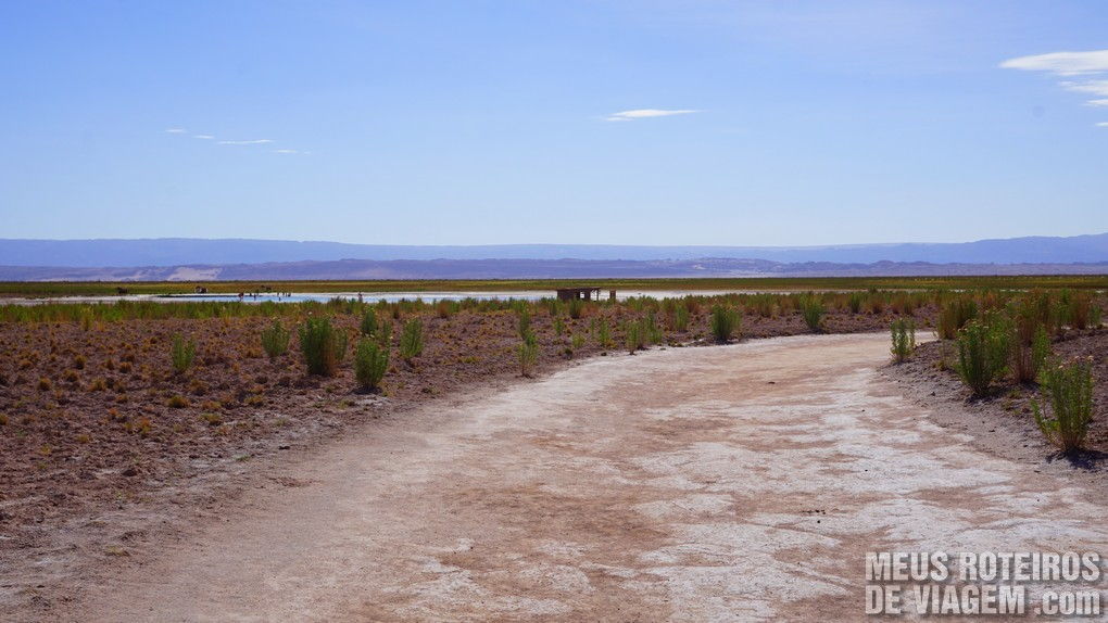 Laguna Cejar - San Pedro de Atacama, Chile