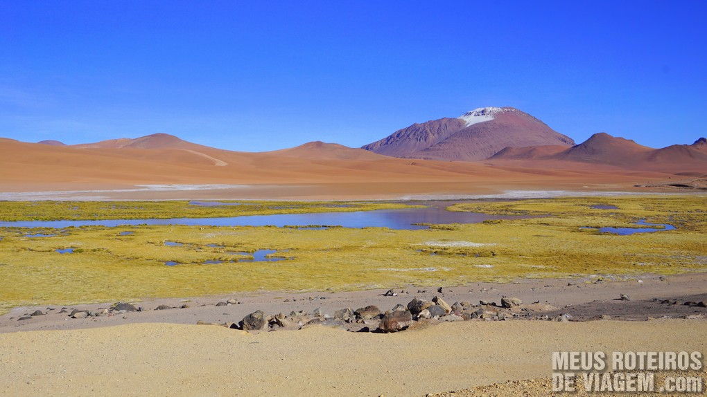 Salar de Tara - San Pedro de Atacama, Chile