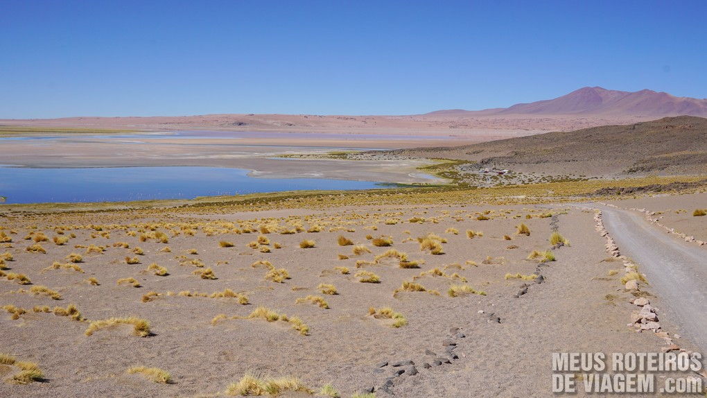 Salar de Tara - San Pedro de Atacama, Chile