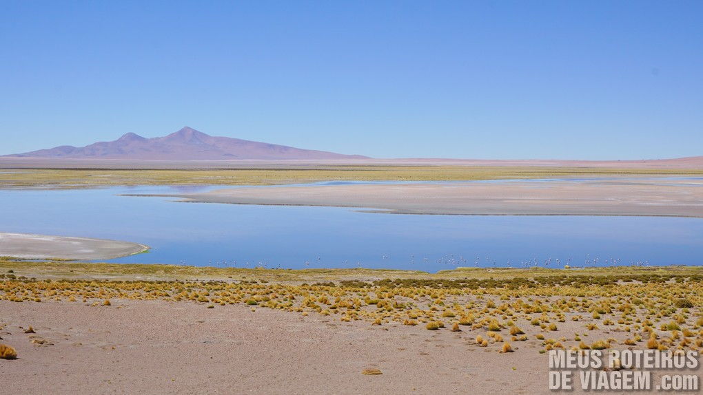 Salar de Tara - San Pedro de Atacama, Chile