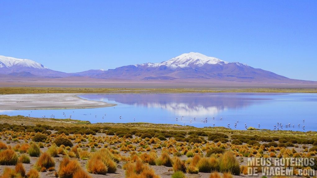 Salar de Tara - San Pedro de Atacama, Chile