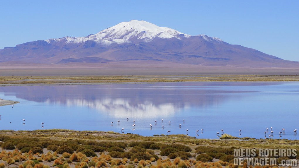 Salar de Tara - San Pedro de Atacama, Chile