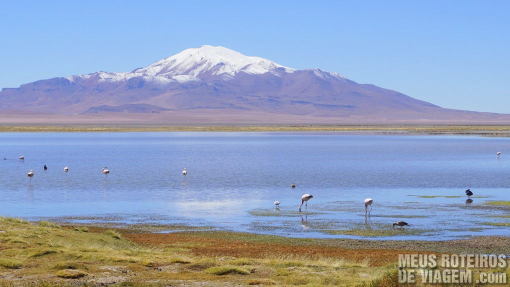 Salar de Tara - San Pedro de Atacama, Chile